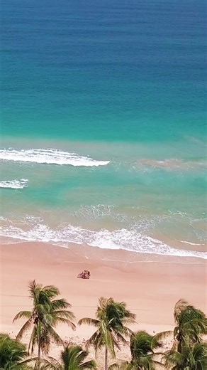 Tired of hearing about flight cancellations and overpriced tickets? Drive down to South Goa instead for a magical New Years Eve. Sip, sparkle and celebrate under a starlit sky at Ouzo Delmar on Varca beach, where festive sparkle meets coastal elegance. Book today with code Estella5 for additional discounts. | Elements by Rosetta - Varca, Goa