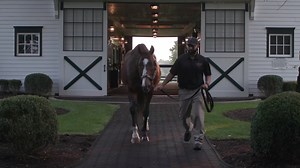 1.6K views · 73 reactions | Today is the official start of the...