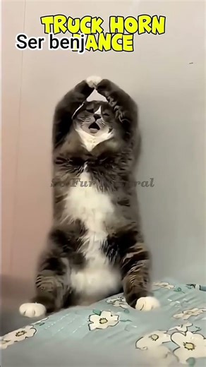 Ai dance comedy shorts #aicreatedvideo #funny #aicreation