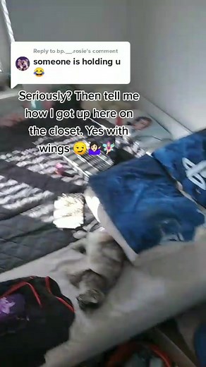 Reply to @bp.__.rosie Proof. 😌👏🏻👌😏🧚🏻‍♀️ #hanna_the_real_fairy #proof #imfairy #😌😏