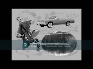 Elmo's World Quizzes Fish Willow #elmosworld (Click Links In Description)