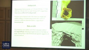 Chandler Halderson Trial: A forensic anthropologist explained why she labeled parts of Krista Halderson’s remains as “Jane Doe.” | Law&Crime