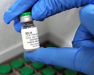 Vacina brasileira para esquistossomose é aprovada na fase 1 de testes clínicos