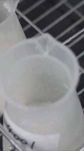 Why Japanese sake is globally popular! A Kyoto brewery with a 388-year history since 1637 | Tak terhingga | Facebook