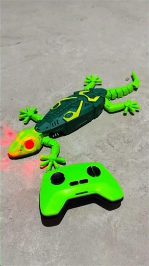 My new lizard unboxing 🦎👀