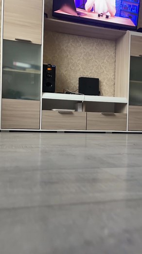 Mike bully on TikTok