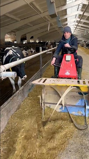 Incredible feed cutter #farm #cows #feed