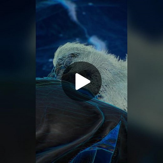 Science Channel on TikTok