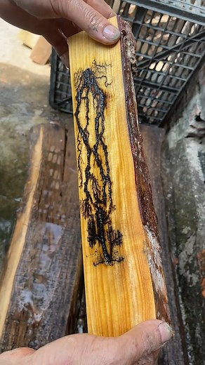 199K views · 1.1K reactions | How To Create Beautiful Patterns On Simple Wood | WT Woodworking | Facebook