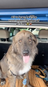 27K views · 10K reactions | This is a George II fan page starting...