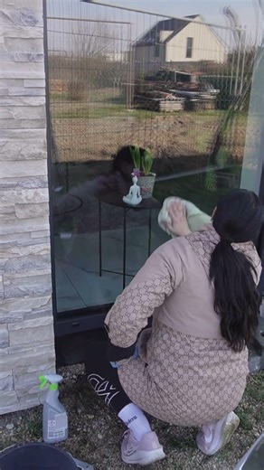 Deep Cleaning Dirty Window Tracks: Satisfying Brush ASMR