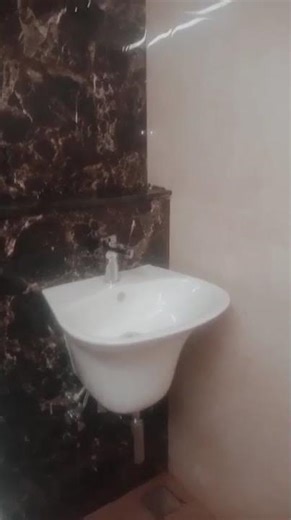 கிளாசிக்கல் டாய்லெட் #2023# diverter#consult tank work# of pedestal wash basin#plumping