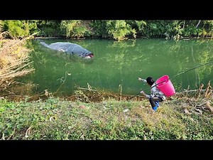Orphan boy Duong's fishing skills harvest huge fish in the big lake
