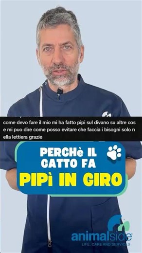 Why does the cat pee around?