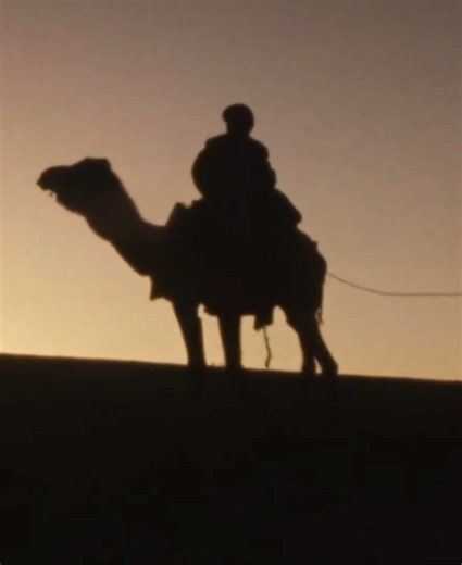 Afghanistan, 1970 Travel through Afghanistan in 1970, captured on 16mm film by a group of young German travelers following the Hippie Trail from Istanbul to Kathmandu. #afghanistan #hippietrail #theafghanmuse