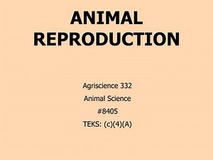 ANIMAL REPRODUCTION - SlideServe