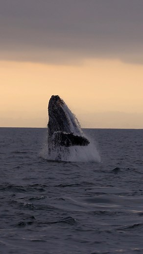 2.4M views · 64K reactions | After the suns down! | Slater Moore Photography | Facebook