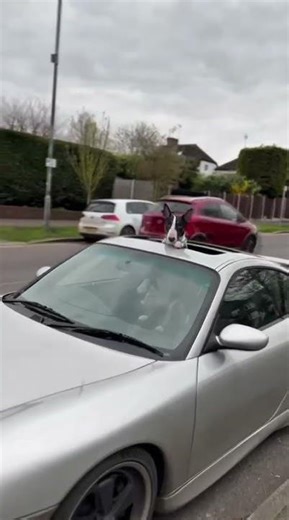 Non sun roof 996s are all well and good, but you can't do this... 🤣