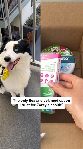 418 reactions · 5 comments | Flea & tick season is here - we've got you covered with brands such as NEW Credelio Quattro, NexGard, Seresto and Frontline. Vet trusted since 1996. | PetMeds | Facebook