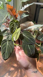 62K views · 1.1K reactions | Starting fresh with this neglected...