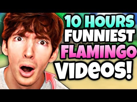 🌟10 HOURS🌟 Of Flamingo Roblox - Funniest Videos (Flamingo Marathon)