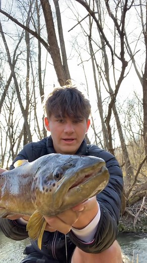 I’m giving away a G-Loomis Trout Rod to enter 1. Like this post2. Follow @naspeltz 3. Comment DONE letter by letterThanks to everyone who entered ⁣.⁣.⁣.⁣.⁣.⁣ #angler #bassfishing #brooktrout | Naspeltzz | Facebook