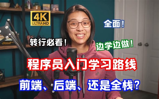 【4K中字】程序员入门最全学习路线指南（转行必看！）