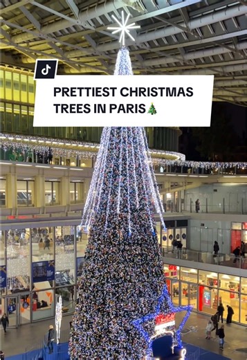 Videographer in Paris sur TikTok