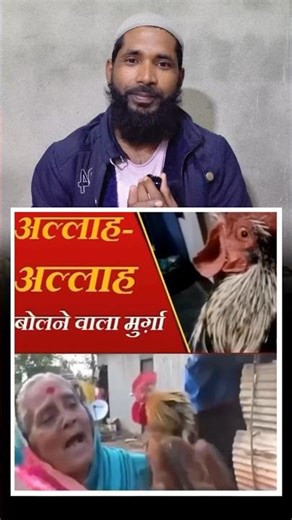 Allah Allah bolane wala murga 🥹