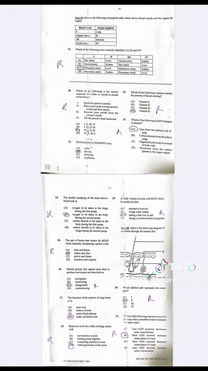 CSEC HSB 2025 Paper 01 Complete Solutions