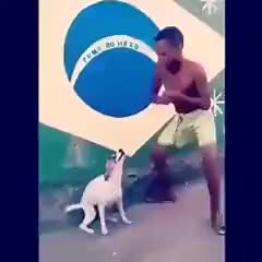 Brazilian Boy Dancing with Dog in Viral Video