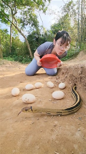 The beautiful girl lured the venomous snake out of its hole.#snake