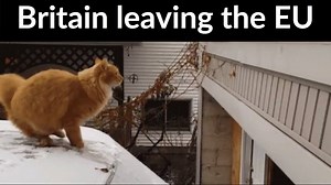 A closer look at Mayhem's great leap forward. | Very Brexit Problems