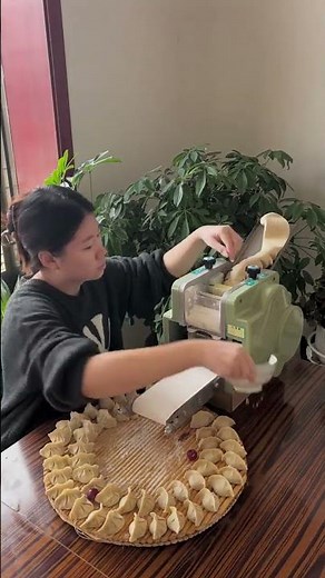 Dumpling wrapper machine #Essential for making dumplings#