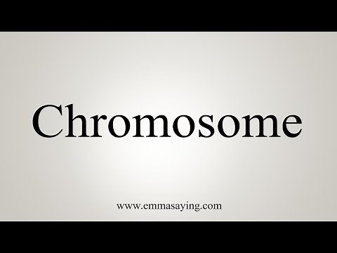 How To Say Chromosome