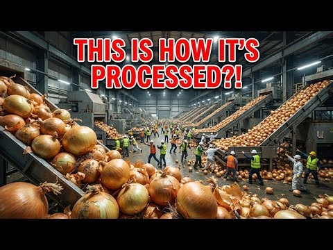 Inside a Modern Factory: The High-Speed Onion Processing Line