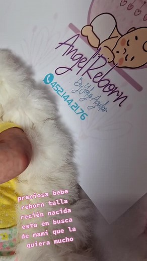 Pasos para Adoptar una Bebe Reborn