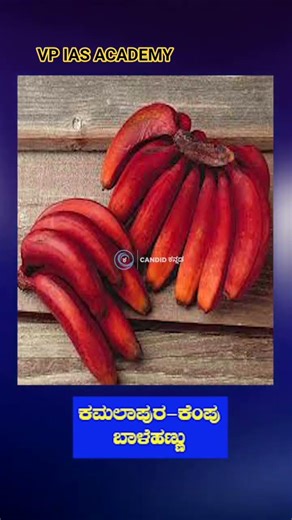 GI Tags of Karnataka| ಕರ್ನಾಟಕದ ಭೂಗೌಳಿಕ ಸೂಚ್ಯಂಕಗಳು | #vpiasacademy #venkateshbpatil