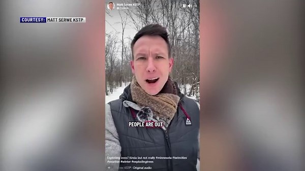 Are trees 'exploding' due to the severe cold?