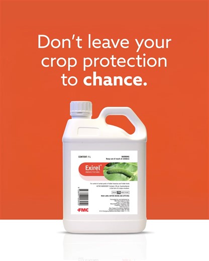 Don’t leave crop protection to chance. FMC’s easy to-use Exirel® Insecticide delivers long-lasting control of key caterpillar pests and suppresses grey aphids – while protecting beneficial insects and reducing extra sprays. Trusted by New Zealand growers for consistent results, year after year. When every row counts, Exirel® is the proven, easy-to-use choice. | FMC Australia and New Zealand