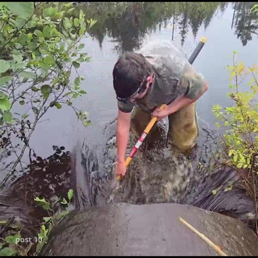 Part 4 Massive Blockage Unclogging After Heavy Rain, Beavers Couldn't Resist Clogging It | Post 10