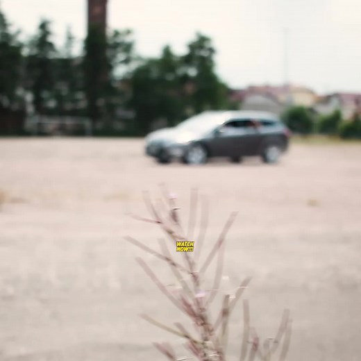 Ultimate Guard on Reels