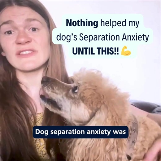 Owners of reactive & anxious dogs 🐶 WE CAN HELP! We do direct claims with Petplan, Kennel Club, Agria, Napo, LV & Everypaw - probably your insurer too. A personalised behaviour plan could cost as little as £25! As the largest, most 5-star rated, online dog behaviour consultation service in the UK… ✅ We are rated ‘Excellent’ on Trustpilot for Results 👉 so you don’t have to wonder if this is going to be another fail ✅ We are veterinary professionals and behaviourists 👉 so you don’t need to worr