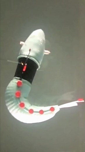 132K views · 479 reactions | These soft, squishy robots can explore delicate places — like coral reefs and human bodies: #Robots #GiadaGerboni #Technology | TED | Facebook