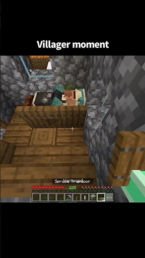 Minecraft funny villager moment