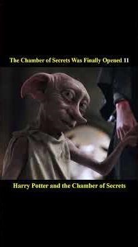 The Chamber of Secrets Was Finally Opened 11 😨