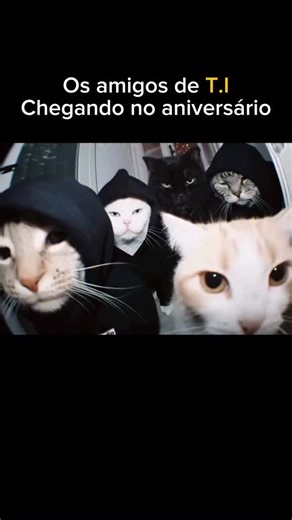 Use T.I on Instagram: "Comente “Backend” ou “Feminina” ou “Linux” ou “Dados” que te mando estampas sobre o assunto no seu PV e um presentão só essa semana 😏 Conheça nossa marca de T.I, com estampas para programadores, analistas ou qualquer outra área de T.I, Clique no link da Bio para conhecer todas nossas estampas 🎽 . Linux, t.i, programação, Programador, script, sql, python #useti #roupasdeTi #VidadeDev #techhumor #CamisetasTech #fullstack #front #back #cpu #gpu"