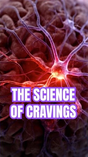 Dopamine and Addiction: The Science of Cravings