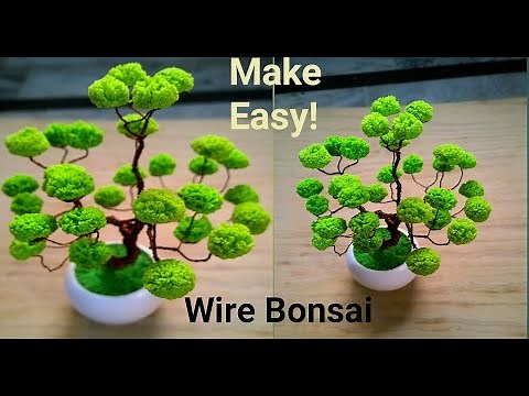 How to Make Wire Bonsai and How it turn into Real Tree | Amazing Bonsai