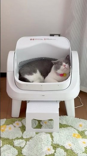 You know what, an automatic litter box could be affordable yet safe, durable, and reliable.❤️